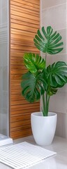 Stylish indoor plant in a modern bathroom decor with natural wood accents.