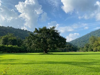The natural view is very beautiful with mountains and trees standing out.