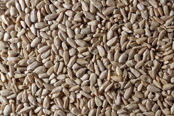 Peeled Sunflower Seeds Background: A Culinary Canvas of Shell-free Sunflower Seeds, Creating a Lively and Textured Background for Gourmet Cooking - Top View, Flat Lay
