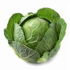 Obraz premium A whole head of cabbage, its green leaves tightly wrapped, isolated against a white background