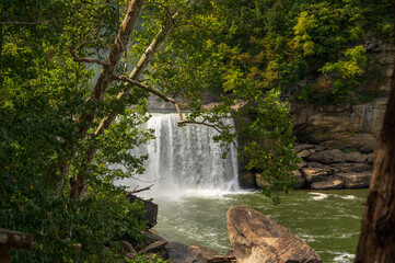 Cumberland Falls through Forest Trees