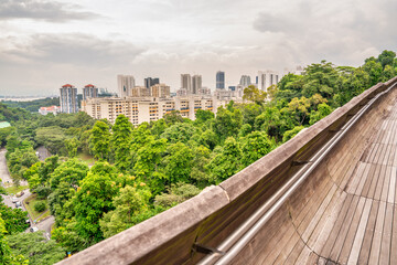 Henderson Waves Bridge in Singapore