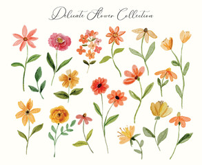 Watercolor floral vector element collection