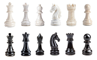 Chess set with king, queen, bishop, knight, rook, and pawn - competitive sides with all pieces in white and black ebony and ivory