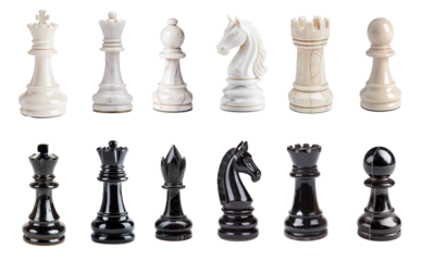 Chess set with king, queen, bishop, knight, rook, and pawn - competitive sides with all pieces in white and black ebony and ivory