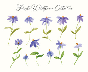 Watercolor blue purple daisy floral elements watercolor