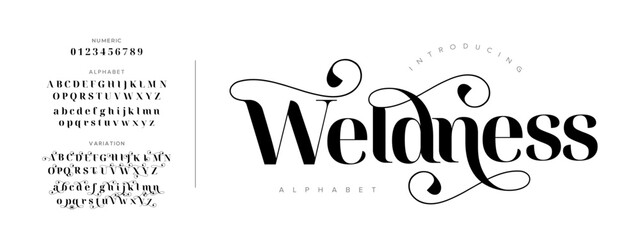Weldness typography beauty fashion elegant minimalist serif italic fonts decorative wedding vintage retro logos. Minimal luxury font alphabet logo. Vector illustration