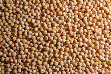 Uncooked Yellow Polished Peas Background. A Culinary Canvas of Dry Yellow Peas, Creating a Lively and Textured Background for Gourmet Cooking. Scattered Raw Polished Peas. Healthy Eating Ingredients