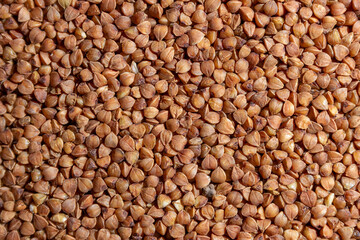 Dry Uncooked Brown Buckwheat Groats Background - Top View, Flat Lay. Raw Large Buckwheat Grains. Russian, Ukrainian and Belarusian Culture