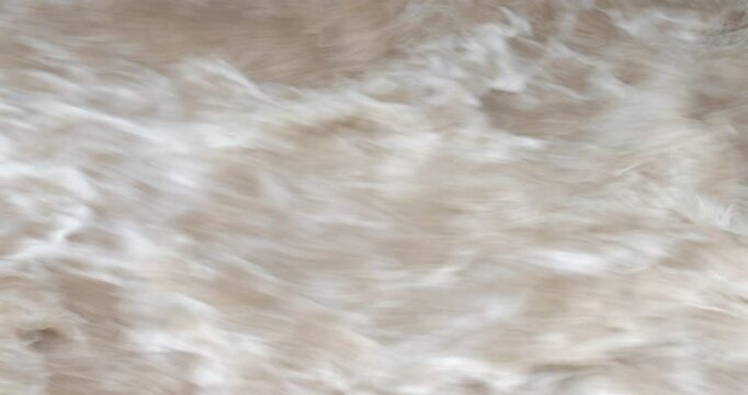 A roaring river, Close-up Detail