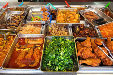 Assortment of Traditional Malaysian Dishes at a Food Stall