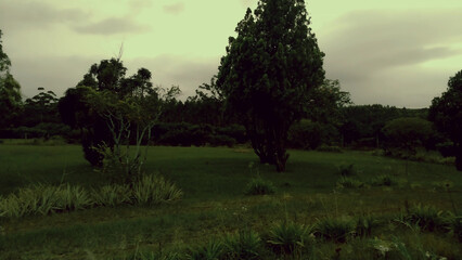 sunset over the field