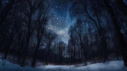 Fototapeta premium Starry night sky over a tranquil winter forest