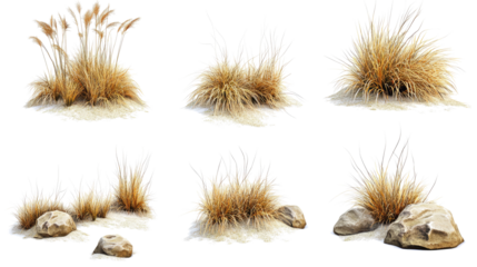 Collection of Savanna Grasses and Rocks on a Transparent Background Generative AI