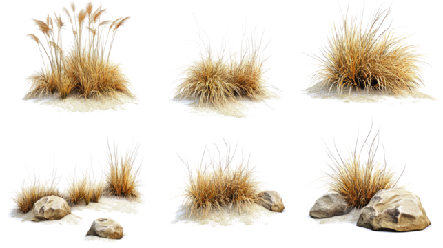 Collection of Savanna Grasses and Rocks on a Transparent Background Generative AI