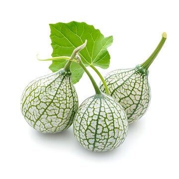 Ashgourd isolated on a with a white background, close up