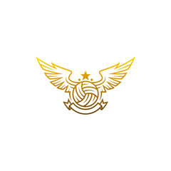 The ball logo has wings and is used as a sports icon
