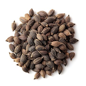 Ambada Seed isolated on a with a white background, close up