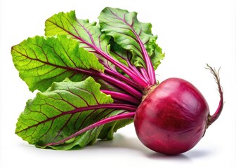 Isolated Beetroot on Transparent Background for Creative Food Photography, Fresh Produce Display, Organic Vegetable Concept, Healthy Eating Inspiration, Culinary Art, Natural Ingredients