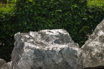 limestone terraced leaves background