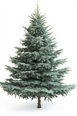 Fototapeta premium beautiful christmas tree on white background for christmas postcards, generative AI