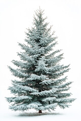 beautiful snowy Christmas tree on white background for Christmas postcards, generative AI
