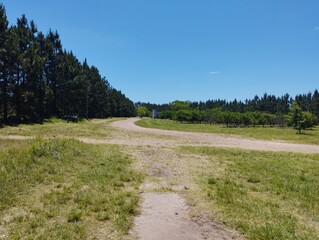 Gran paisaje con muchos arboles