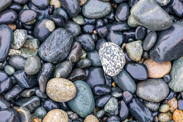 Smooth Pebbles on Rocky Beach of Vancouver Island Coast
