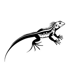 Fototapeta premium Spiny tailed Lizard Vector Logo