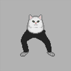 Funny cat with long legs, pixel art meme