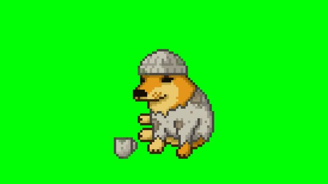 Homeless dog, pixel art meme animation 