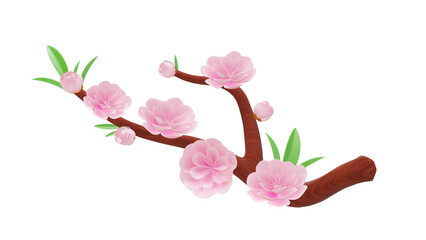 Obraz premium vietnamese holiday - peach blossom