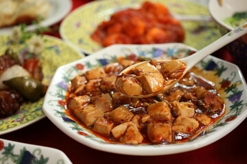 麻婆豆腐1