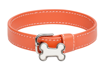 Stylish orange dog collar with a bone-shaped clasp for fashionable pets.