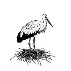 Stork Nest Vector Logo