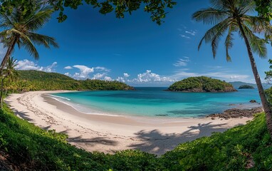 Fototapeta premium A secluded white sand beach framed by lush palm trees with turquoise water and blue sky.