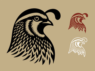 Fototapeta premium Gambel Quail bird hand drawn vector illustration