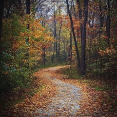 Fototapeta premium Winding Forest Path with Autumn Leaves