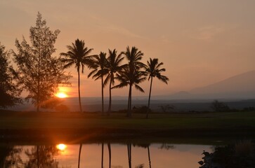 Obraz premium sunset in hawaii with palm trees