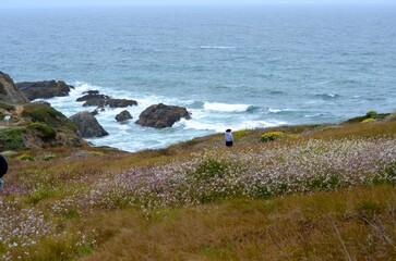 Hiking on the coast of California