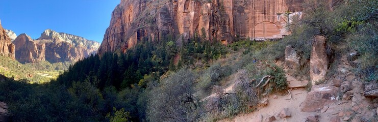 Fototapeta premium panorama of Zion national park