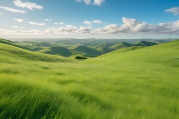 Naklejka premium background beautiful nature There is space to copy text.