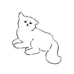 dog