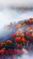 Aerial View of Dreamy Autumn Foliage in Morning Fog