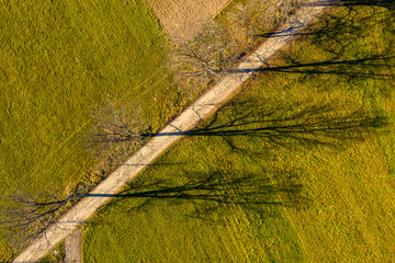 Wiejska droga, cien drzew  © Maciej G. Szling