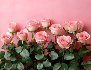 Fototapeta premium A row of pink roses with green leaves on a pink background.