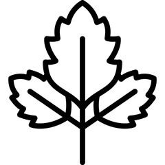 celery icon illustration design with outline