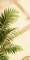 Fototapeta premium Tropical palm leaf casting soft shadows on a sunny yellow wall background