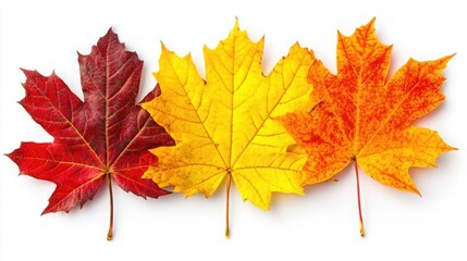 Fototapeta premium Cozy Autumn Vibe and Soft Leaves in Warm Fall Colors Creating a Serene Seasonal Atmosphere for Home Decor