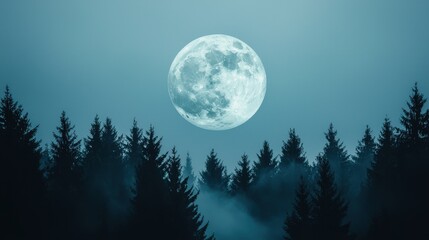 Fototapeta premium Full Moon Over Misty Forest Night Landscape Dark Trees Blue Sky Celestial